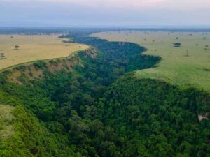 Chimpanzee Tracking in Queen Elizabeth NP